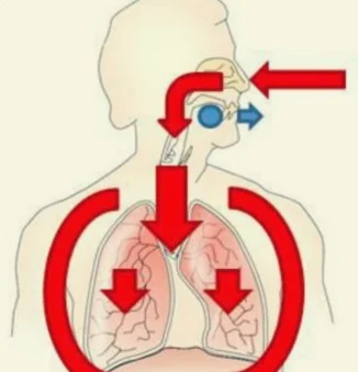 Respiración profunda